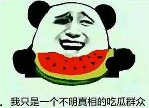 娱乐吃瓜有趣名字大全霸气